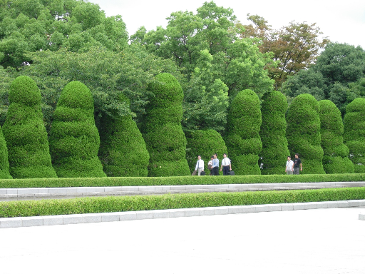 8-18 Atomic Bomb Scarred Trees